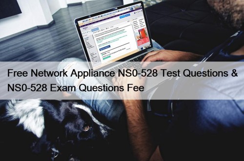 Free Network Appliance NS0-528 Test Questions & NS0-528 ...